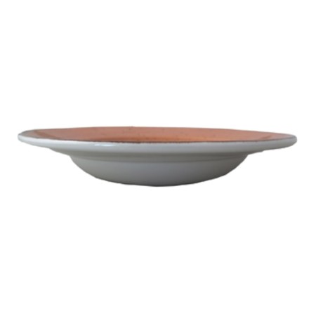 Rustic terracota plato pasta 26cm 2