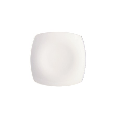 Evolution plato caudrado  18cm